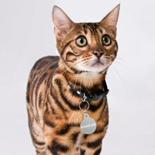 Load image into Gallery viewer, CUSTOMIZABLE PET ID Pet Tags PET ID TAG 
