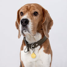 Load image into Gallery viewer, CUSTOMIZABLE PET ID Pet Tags PET ID TAG 
